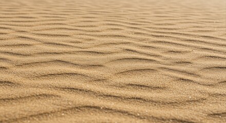 Fototapeta premium Desert Sand Texture Close Up