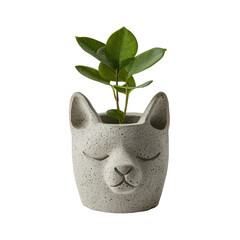 Cute Grey Cat Planter with Green Leafy Plant Adding Charm and Nature to Indoor Spaces