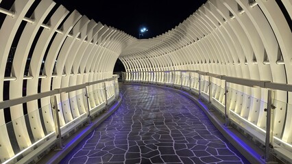Fototapeta premium A bridge in the park at night