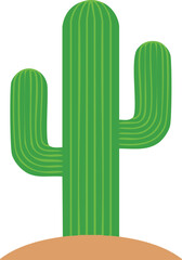 green cactus flat isolated