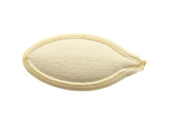 Close-up of a Single Pumpkin Seed: Texture, Detail, and Nutritional Value