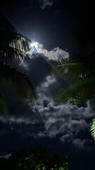 Fiji moon