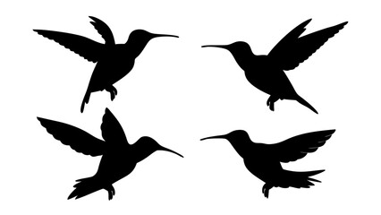 humming bird silhouette vector illustration on tranparent background