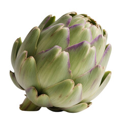 Fototapeta premium Fresh green artichoke isolated on transparent background with purple tips