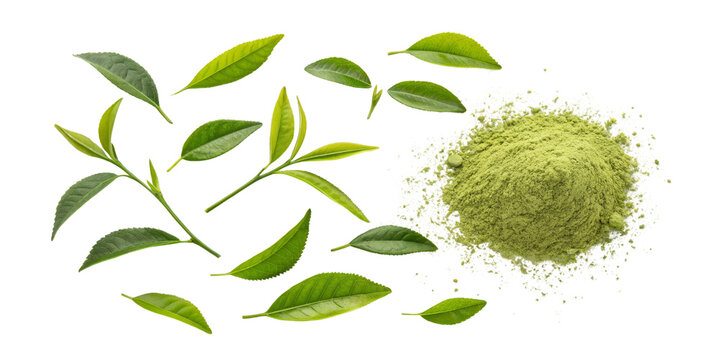 Matcha Powder and Leaves Composition Isolated on Transparent Background, Green Tea, Herbal, Powdered Tea, Green Tea, Matcha, Herbal