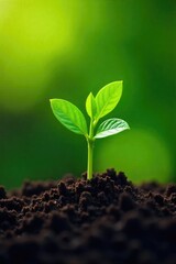 A single seed sprouts, signifying the beginning of new life, growth, and potential A powerful image representing rebirth, hope, and the cycle of life , small, growth, spring