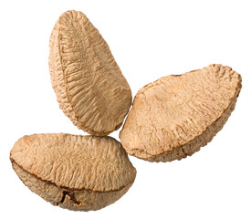 In-sell Brazil nut isolated on the white background, top view.