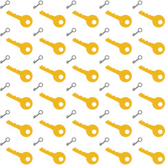 Key is used for locking and safety of house and othe valuable things