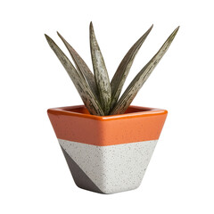 Modern decorative planter with succulent plant in geometric design suitable for indoor plants and home decor enhancement