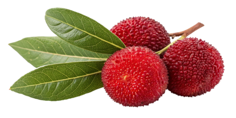 Three Arbutus Berries with Leaves Isolated on Transparent Background, arbutus unedo, red fruit, strawberry tree, fruit