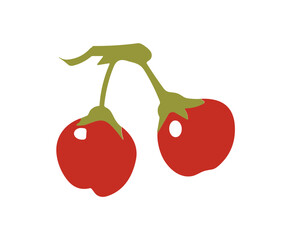 Two Red Berries with Green Stems Vector Design