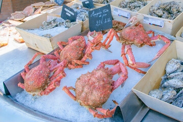 Fresh seafood display featuring crabs and oysters at a market in sunny seaside location