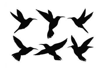 Hummingbird Silhouette Collection: A striking collection of hummingbird silhouettes in various flight poses, epitomizing grace and agility, ideal for design and artistic projects.