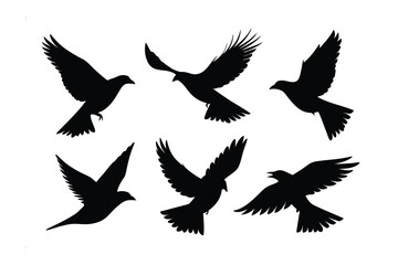 soaring silhouettes: A stunning display of birds in mid-flight, creating a sense of freedom and elegance. Ideal for themes related to travel, nature, and the spirit of adventure.