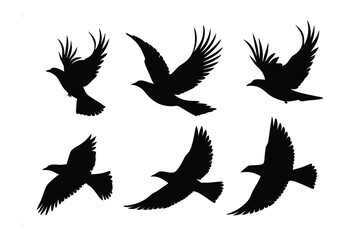 Fototapeta premium Bird Silhouette: A series of vector silhouettes depict various birds in flight, showcasing the grace and freedom of avian movement.
