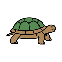 tortoise with a flower