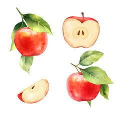 Red Apple Set, hand-drawn illustrations