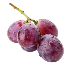 One plump, ripe purple grape berry, a healthy and delicious fresh fruit isolated on a transparent background png