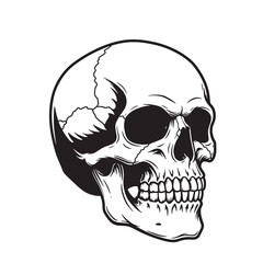 Detailed vintage art silhouette of a human skull depicted in a realistic black and white style