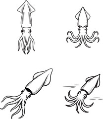 Squid Vector Line Art | Black and White Illustration on Blank Background