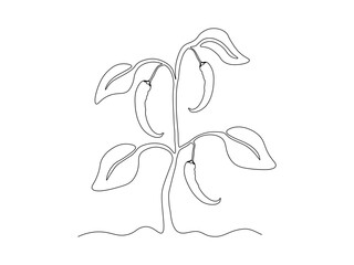 Abstract hot chili pepper bush in the garden,on the farm,agriculture,cottage. continuous single one line art drawing sketch, logo
