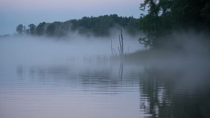Fototapeta premium Misty morning lake with calm water and trees in soft light