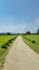 The path of the park under clear skies