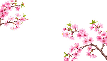 Fototapeta premium Pink flowers blooming in spring on the branches of a flower in nature