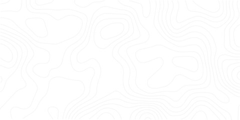 Abstract curve grid map and topo contour map white background. Topographic contour lines. Seamless pattern with lines Topographic map