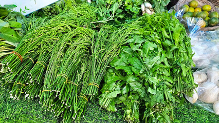 Fresh Greens from Local Market in Thailand: Vibrant display of fresh, leafy greens, climbing...