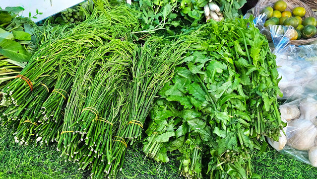 Fresh Greens from Local Market in Thailand: Vibrant display of fresh, leafy greens, climbing wattle, paco fern at a bustling market, showcasing an array of healthy, organic produce.