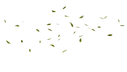 Falling olive leaves isolated on a white background png ai generated