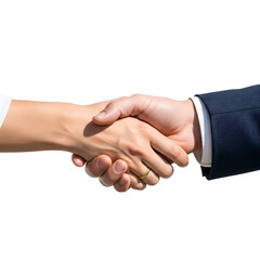 Two hands in a handshake
