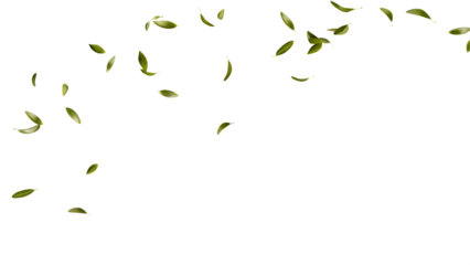 Green leaves falling isolated on a white background png ai generated