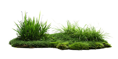 Lush green grass tuft isolated on a white background png ai generated