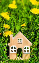 The symbol of the house stands among the yellow dandelions