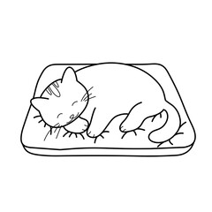 illustration of a cat for children coloring book