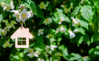 Symbol of the house on the branches of a flowering jasmine
