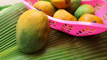 Heap of Mangoes on green leaf nature background. Fresh and organic mangos