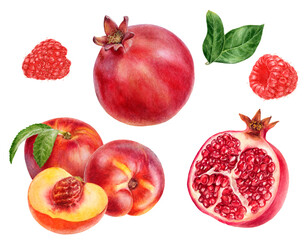 Watercolor Realistic Pomegranate, Peach and Raspberry Illustration with Leaves