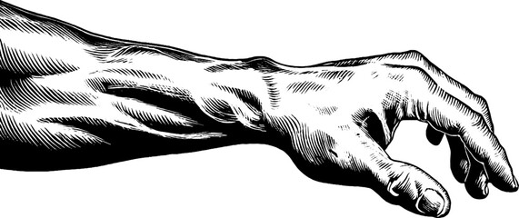 Anatomical study of forearm muscles and wrist bones hand drawn design for educational use