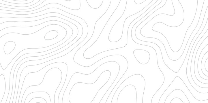 Abstract topographic white and gery contours map background- Vector Background.
