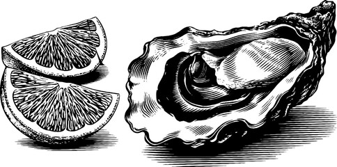Vintage oyster and lemon wedge design for culinary art