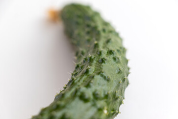 たくさんのトゲがあるキュウリの表面