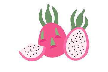 Pitahaya fruit isolated on white background. Pitaya cliparts in flat style.