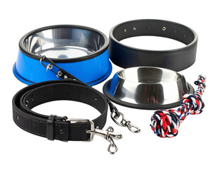 Dog accessories knolling style on yellow background.