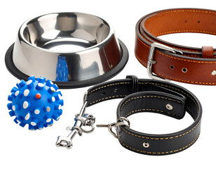 Dog accessories knolling style on yellow background.