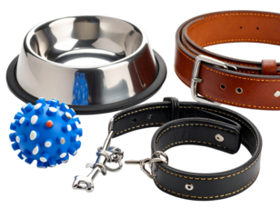 Dog accessories knolling style on yellow background.