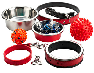 Dog accessories knolling style on yellow background.