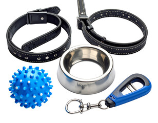 Dog accessories knolling style on yellow background.